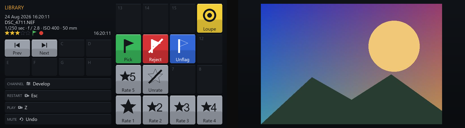 The screens in the Library module: photo details with the star rating, flag and colour label, and the photo